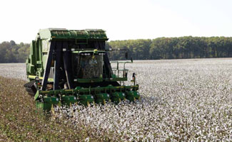 Responsible Cotton Production