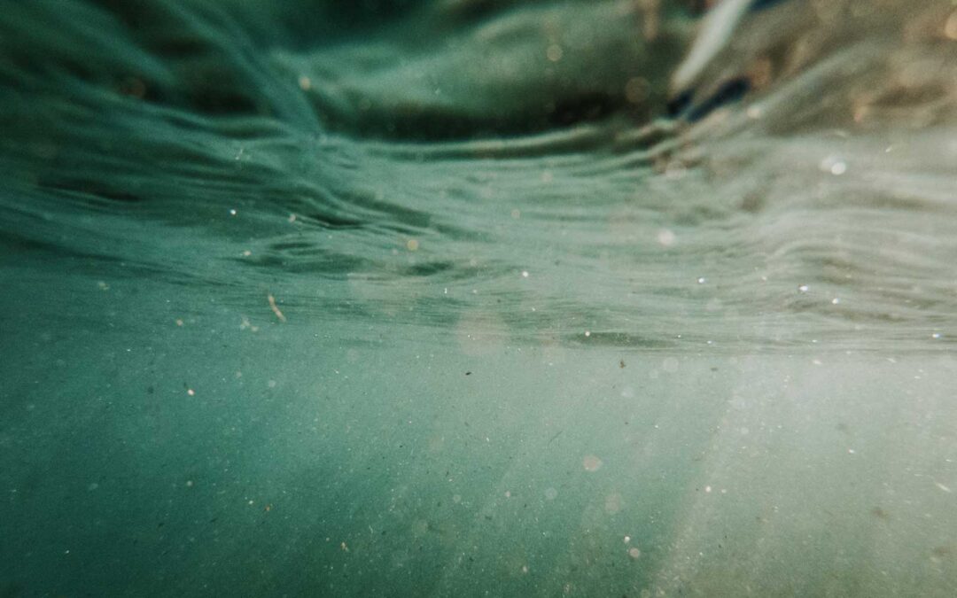 Cotton Microfibers Biodegrade Similar or Faster than Tissue Paper Microfibers...