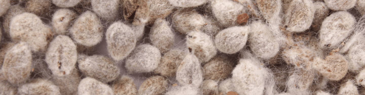 Soil Health